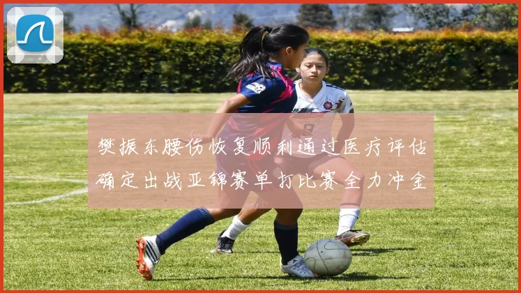 樊振东腰伤恢复顺利通过医疗评估确定出战亚锦赛单打比赛全力冲金