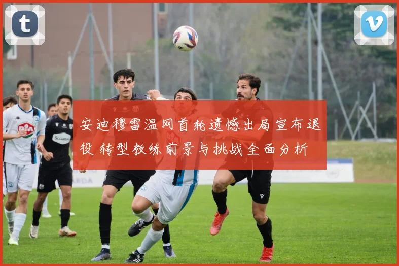 安迪穆雷温网首轮遗憾出局宣布退役 转型教练前景与挑战全面分析