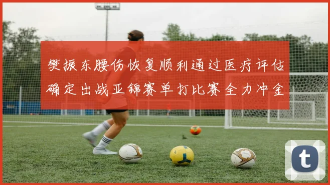 樊振东腰伤恢复顺利通过医疗评估确定出战亚锦赛单打比赛全力冲金