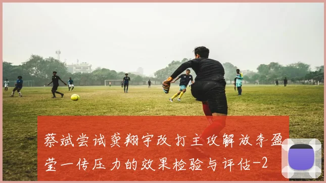 蔡斌尝试龚翔宇改打主攻解放李盈莹一传压力的效果检验与评估