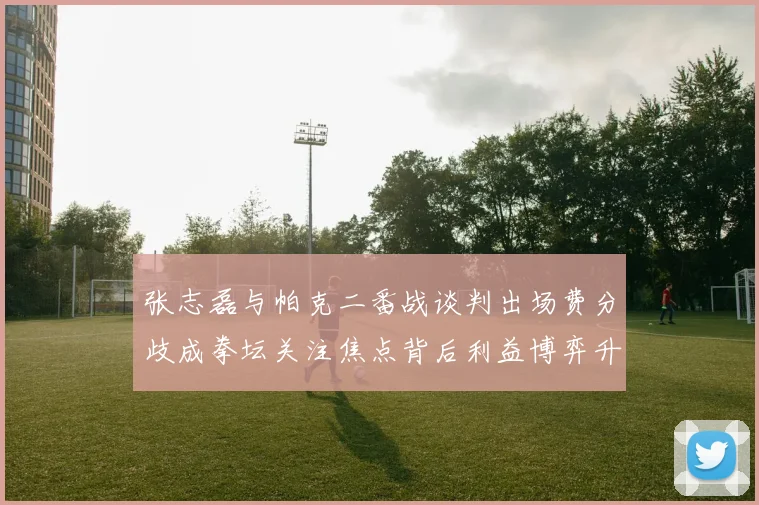 张志磊与帕克二番战谈判出场费分歧成拳坛关注焦点背后利益博弈升级